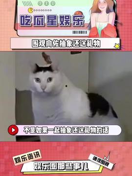 娱乐吃瓜酱好物,揭秘明星私藏神器，带你领略明星生活魅力