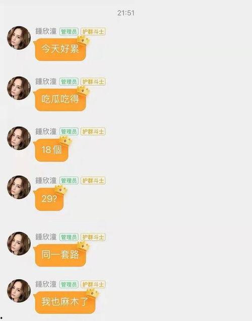 娱乐圈吃瓜网站是什么,揭秘明星幕后故事与八卦传闻