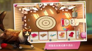 娱乐吃瓜君猫咪,揭秘娱乐圈的萌宠生活
