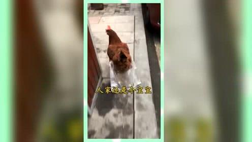 吃瓜群众娱乐素材,吃瓜群众揭秘明星幕后故事