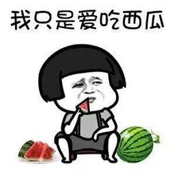 近期娱乐圈吃瓜搞笑段子,最新搞笑段子大盘点