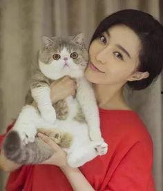 吃瓜少女猫娱乐
