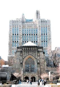 娱乐吃瓜酱耶鲁大学