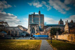 娱乐吃瓜酱耶鲁大学