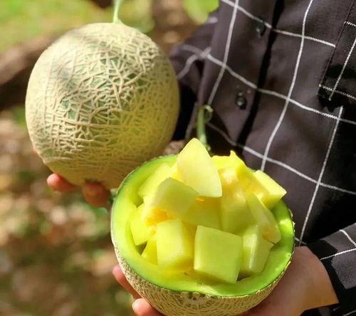 娱乐圈有什么瓜可以吃