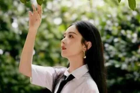 娱乐圈顶流吃瓜小说,瓜田里的璀璨星辰