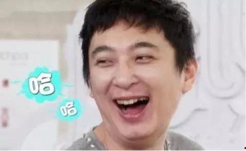 娱乐吃瓜君三字明星,三字明星背后的故事与真相