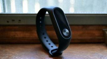 娱乐吃瓜戴手环,揭秘明星幕后生活