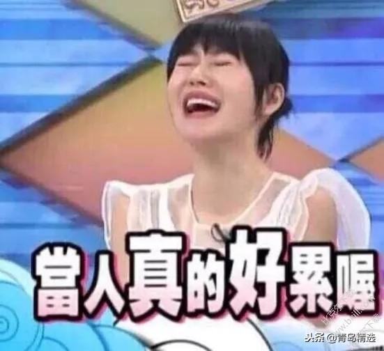 娱乐圈吃瓜综艺文推荐