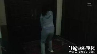 娱乐吃瓜酱恐怖片,恐怖片背后的惊悚真相